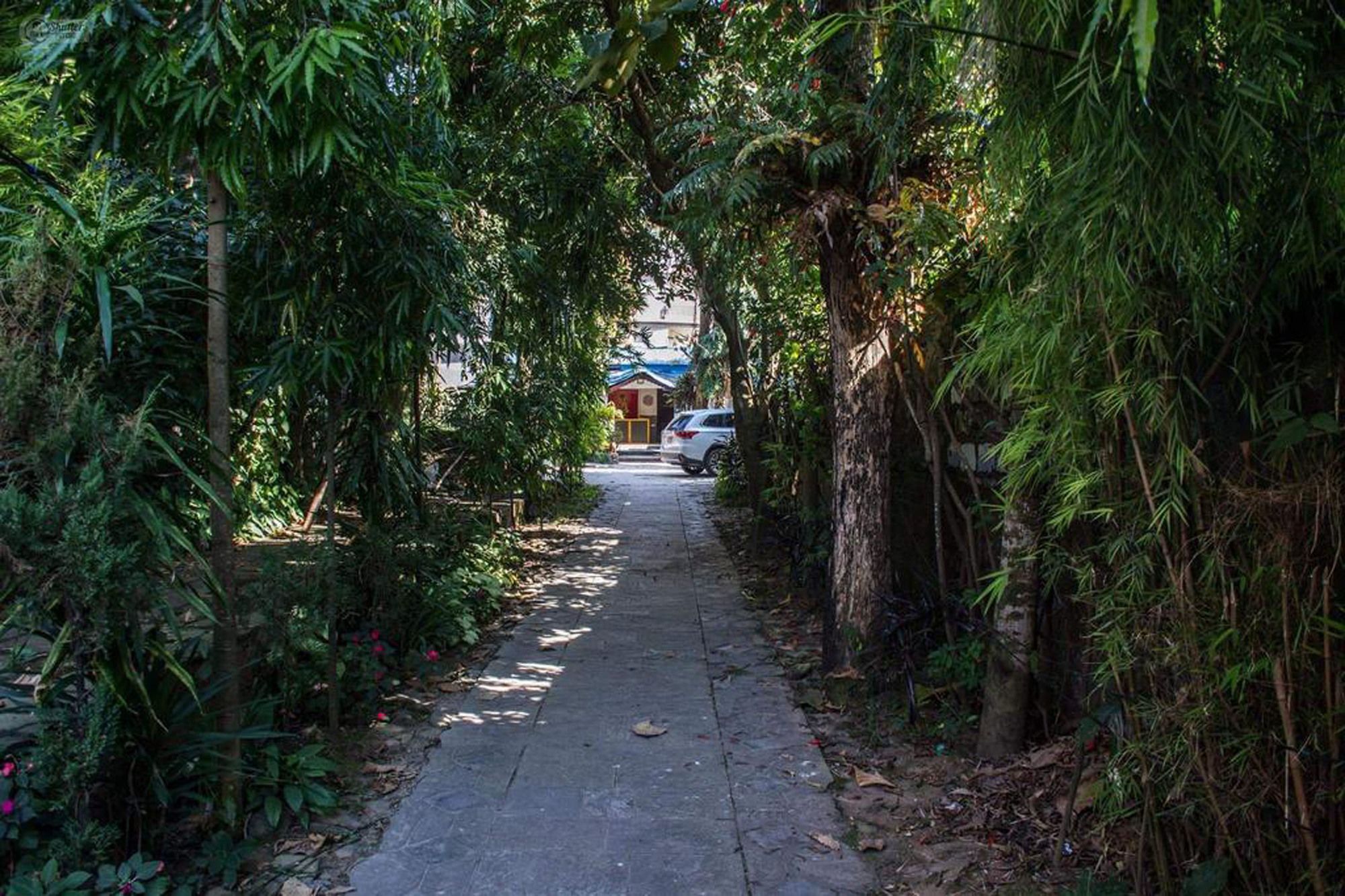 Yeti Guest House Pokhara Exterior photo